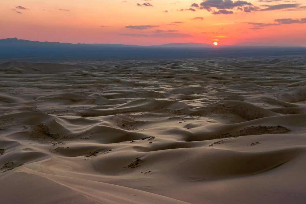 Gobi Gurvansaikhan National Park (Official GANP Park Page)